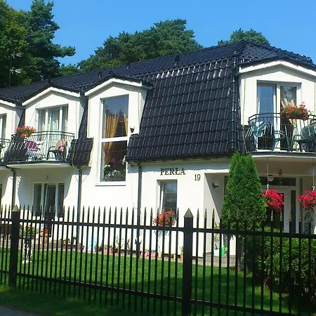 Perla 3* بوبيروفو